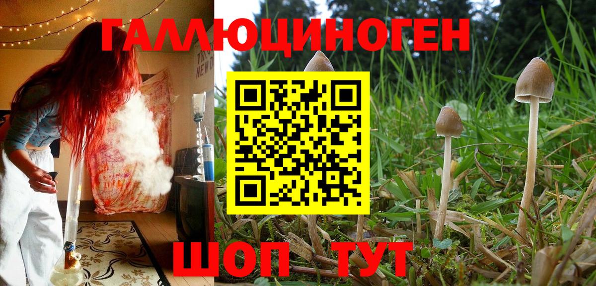 Галлюциногенные грибы Cubensis  Вход с VPN  Великий Устюг 